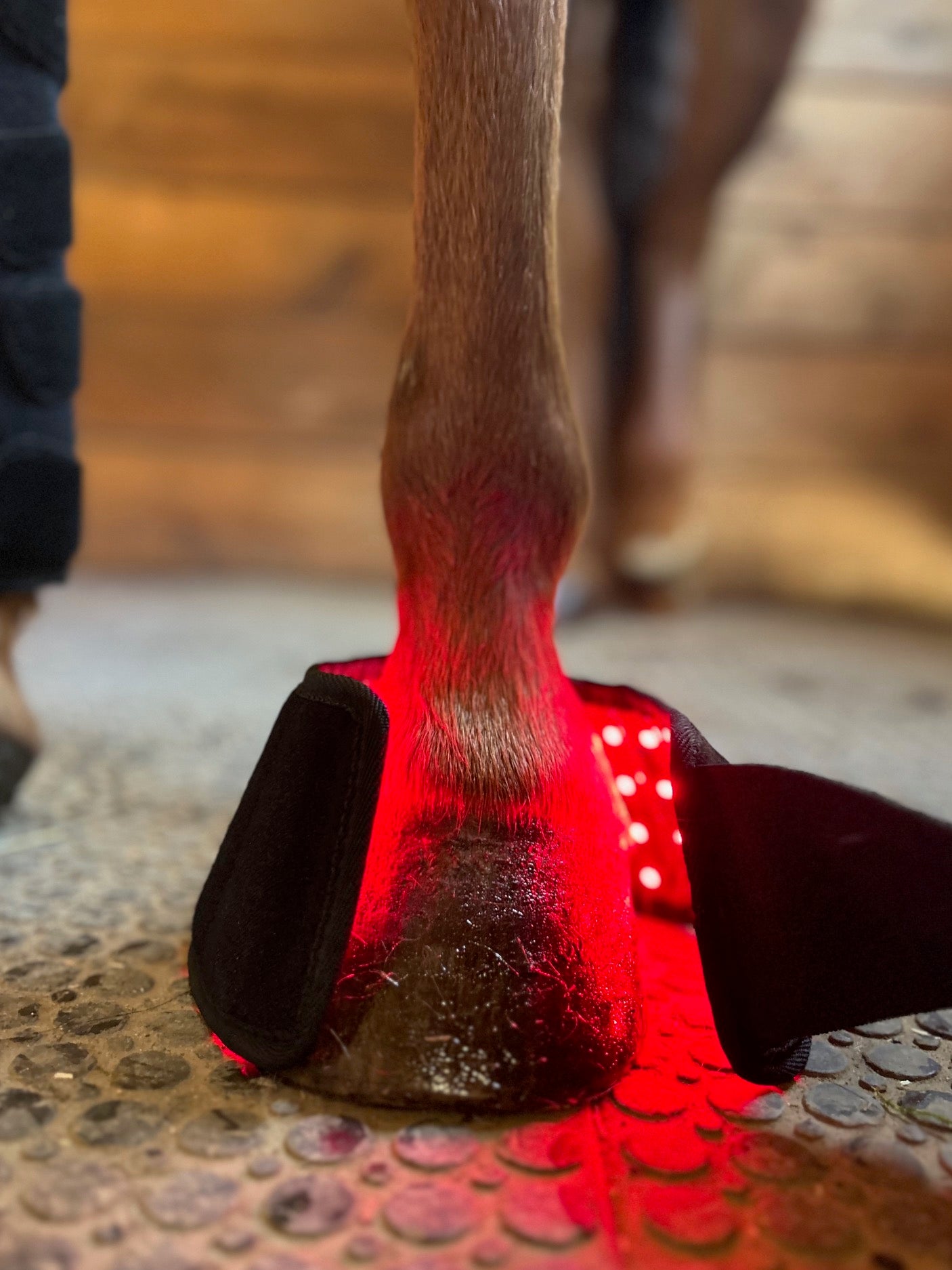 RedMed Light Therapy Hufwrap