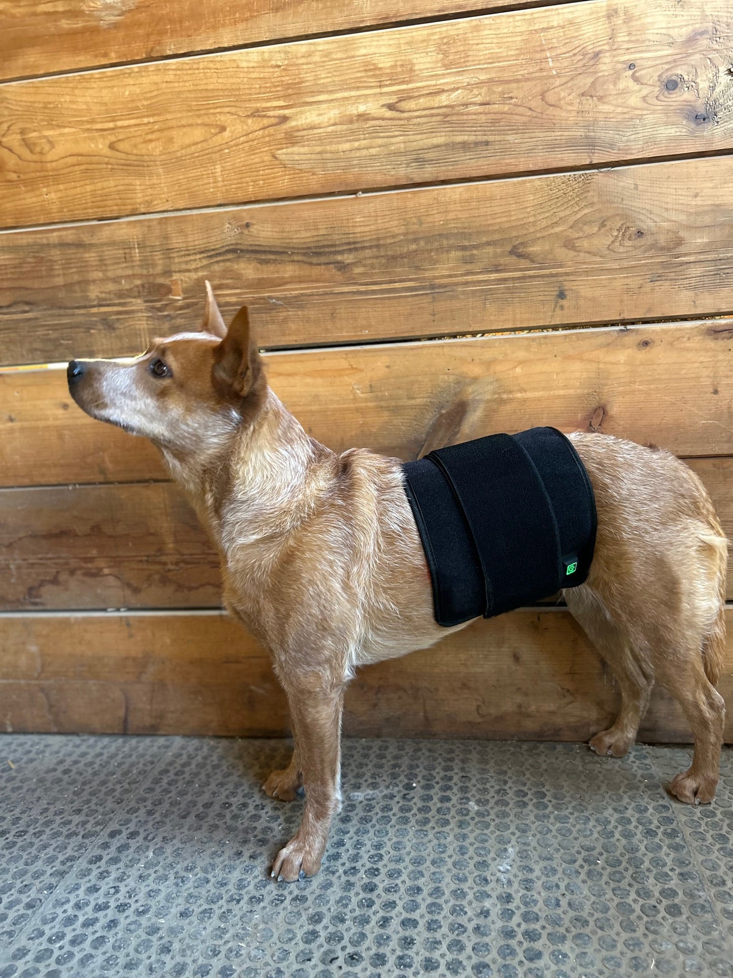 RedMed Light Therapy Pad klein