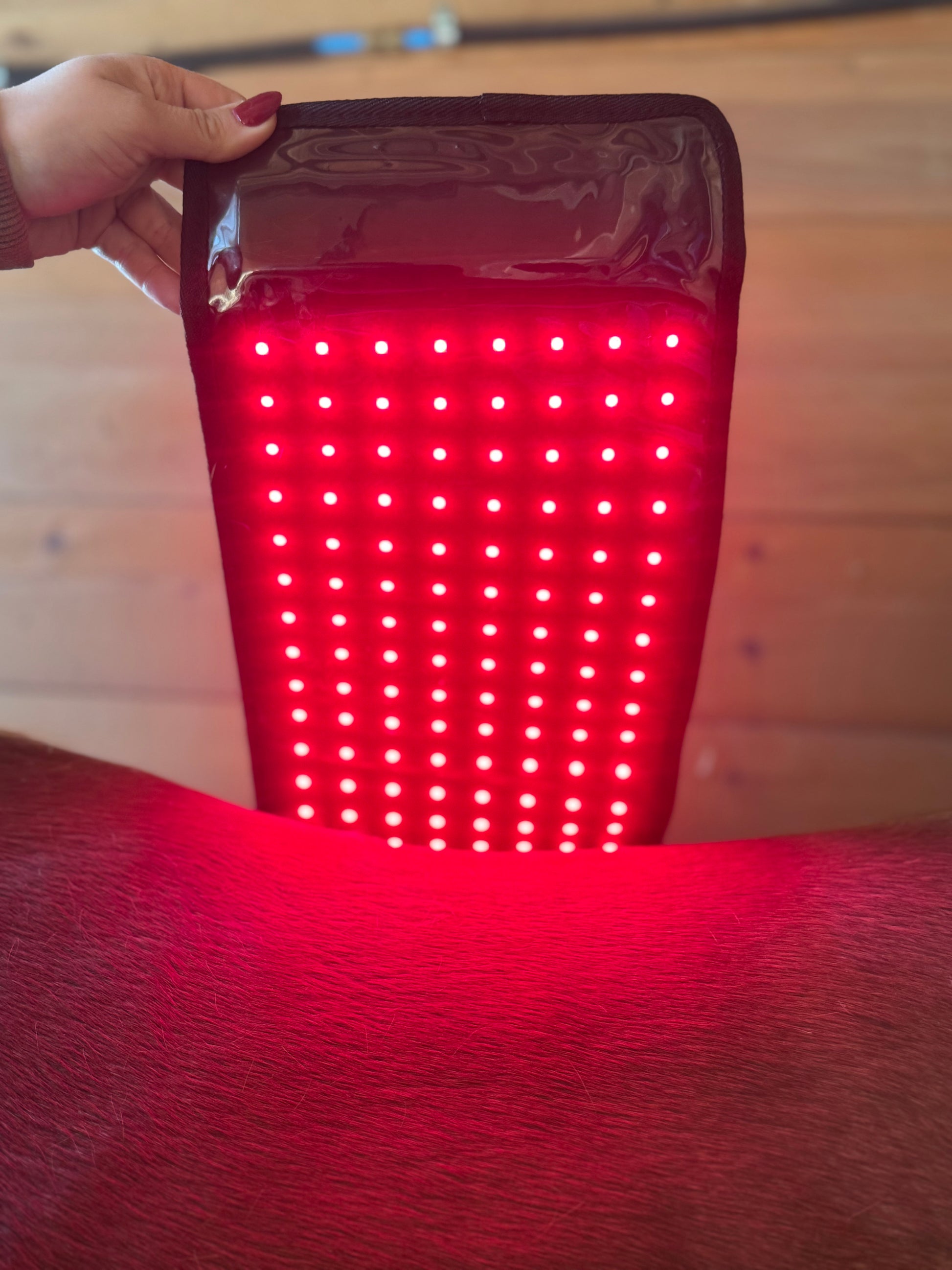 RedMed Light Therapy Pad klein