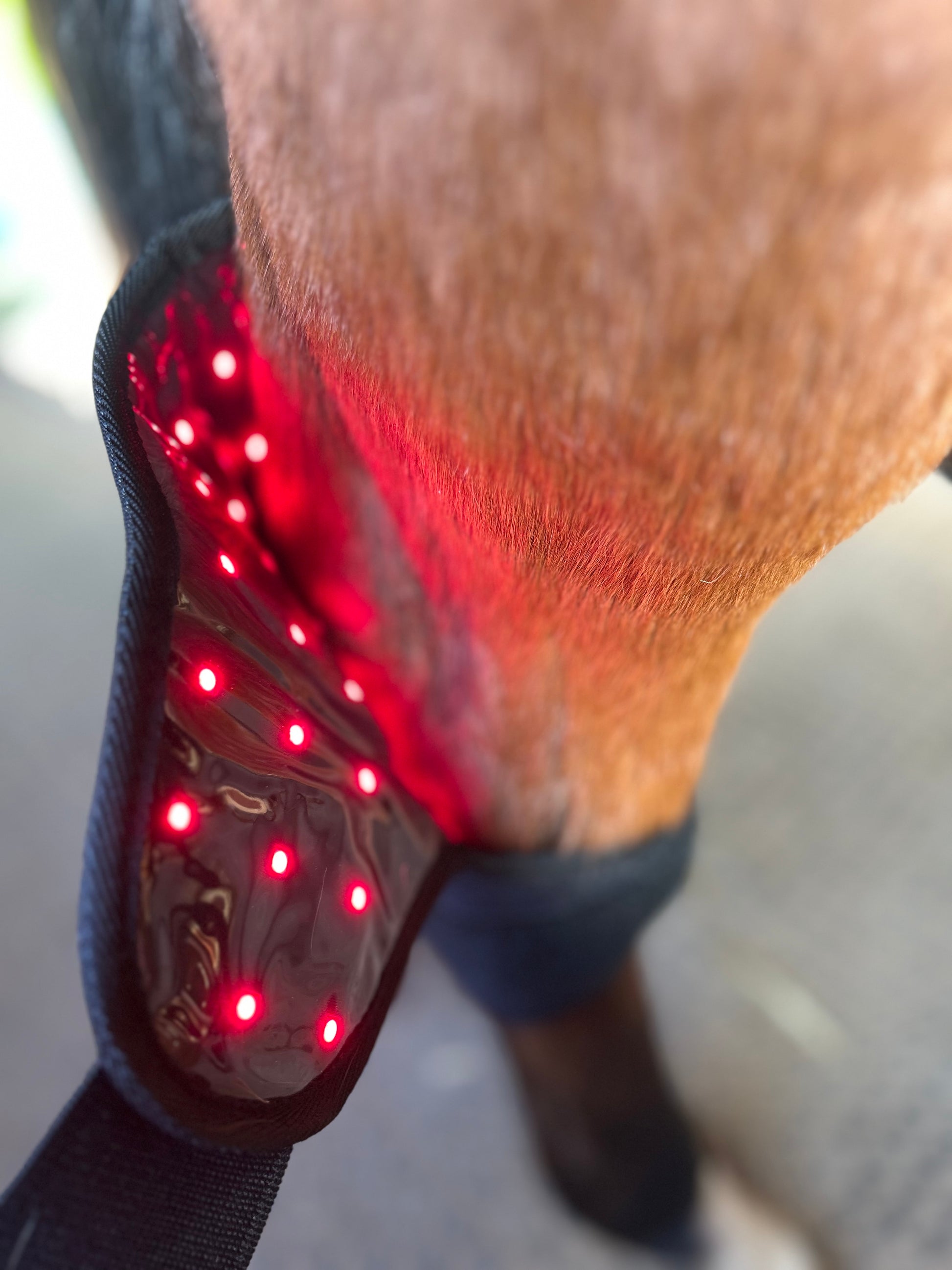 RedMed Light Therapy Bandage Sprunggelenk