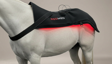 RedMed Light Therapy Pferdedecke