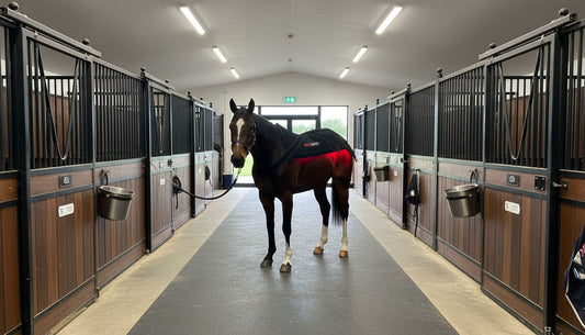 RedMed Light Therapy Pferdedecke