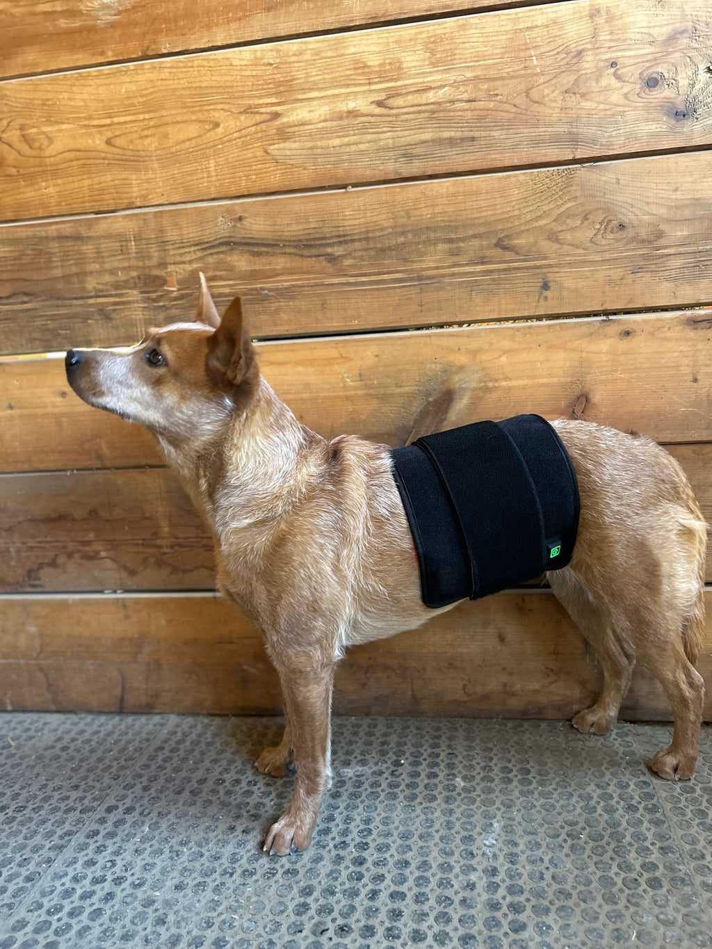 RedMed Light Therapy Pad klein