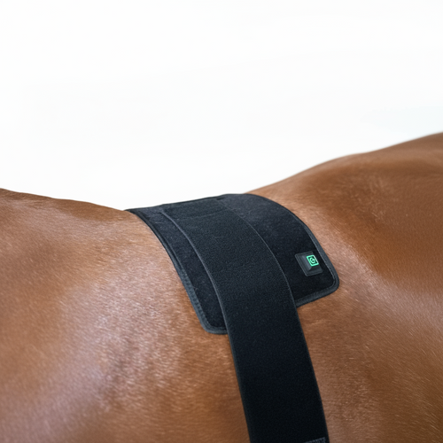 RedMed Light Therapy Pad klein